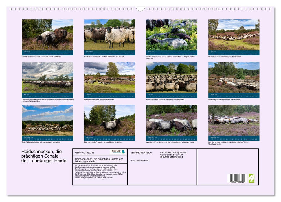 Heidschnucken, die prächtigen Schafe der Lüneburger Heide (CALVENDO Wandkalender 2026)