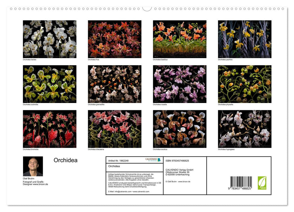Orchidea (CALVENDO Premium Wandkalender 2026)