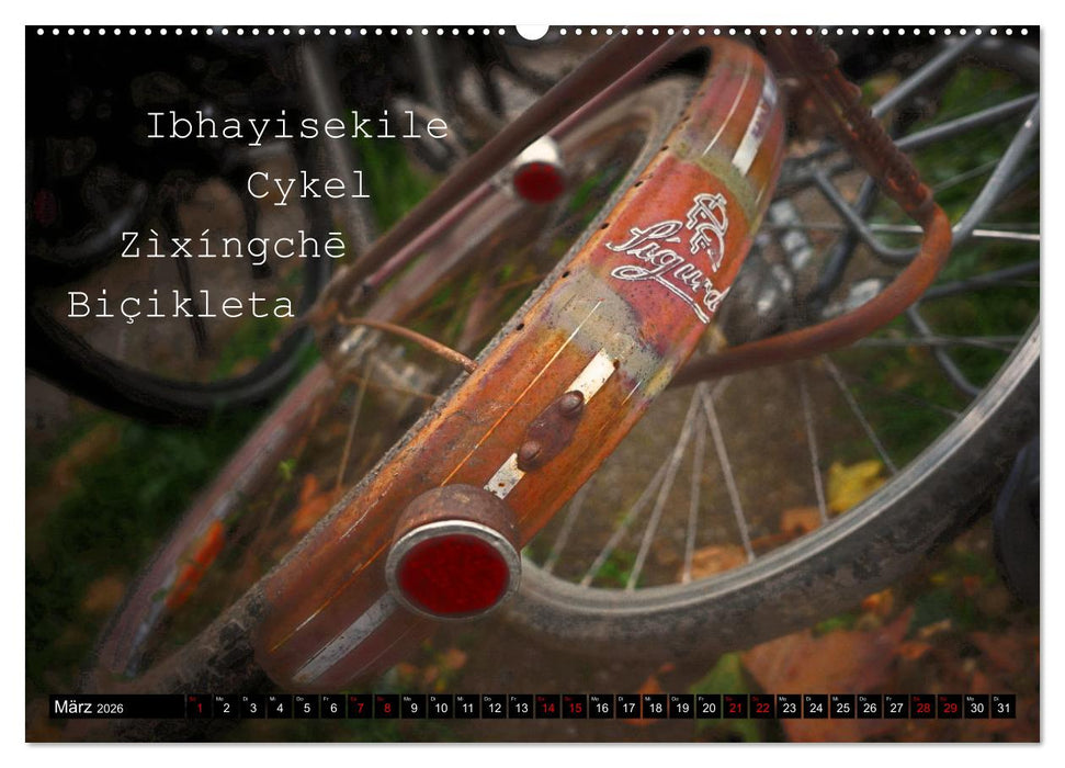 Weltfahrrad (CALVENDO Wandkalender 2026)