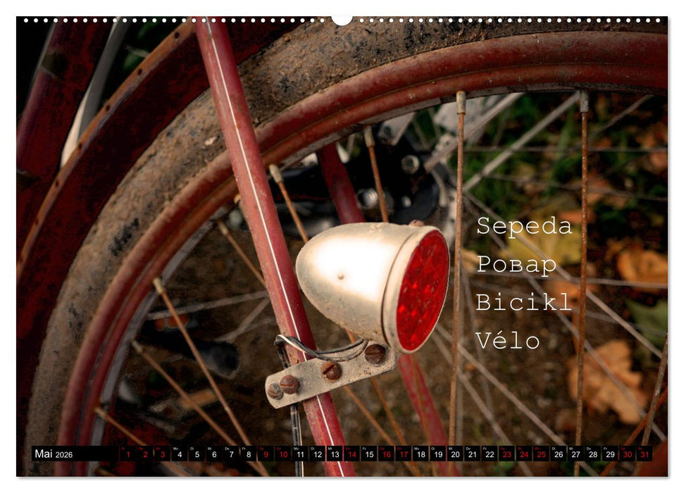 Weltfahrrad (CALVENDO Wandkalender 2026)