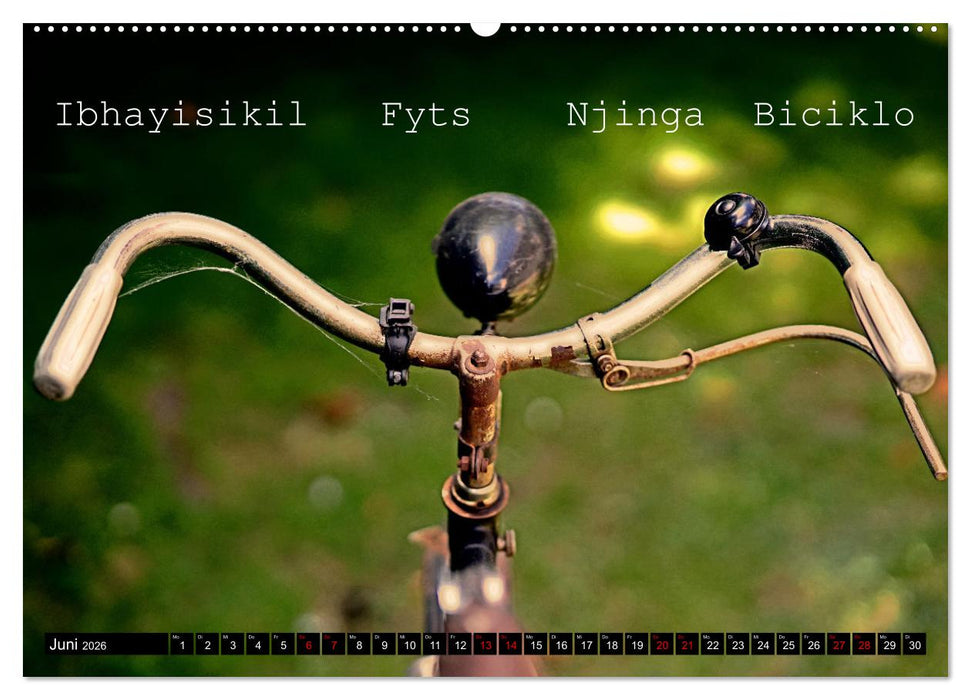 Weltfahrrad (CALVENDO Wandkalender 2026)