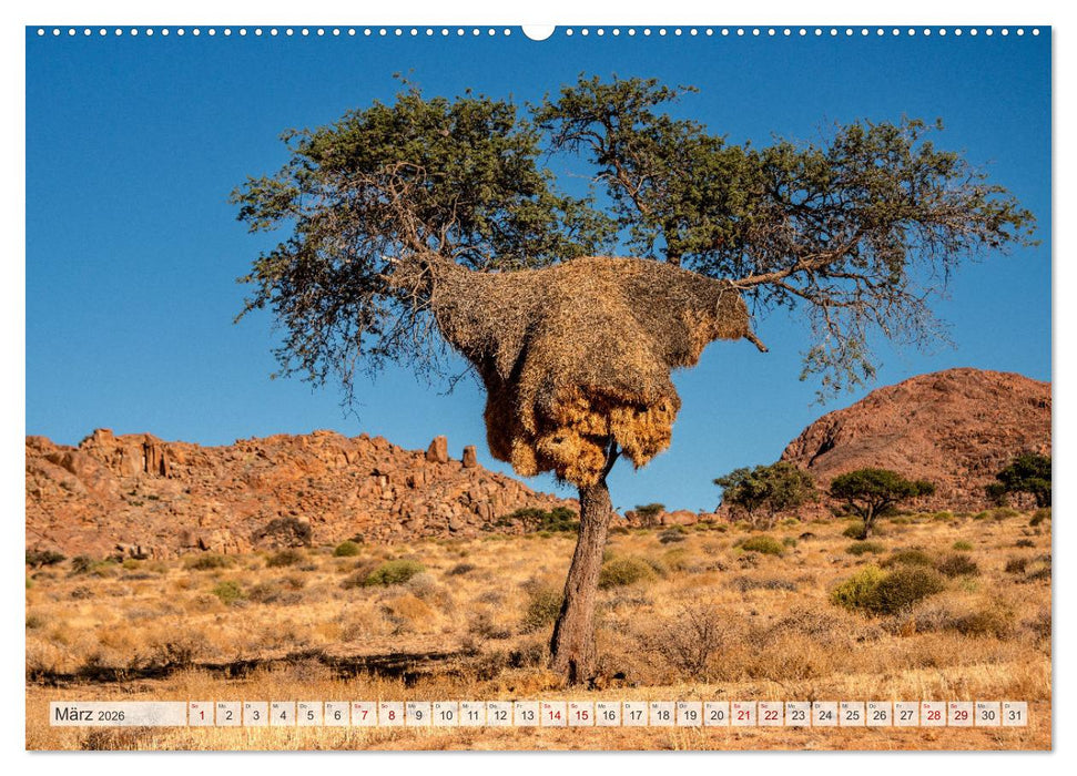 Abenteuerliches Namibia (CALVENDO Premium Wandkalender 2026)