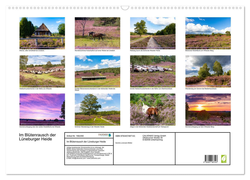 Im Blütenrausch der Lüneburger Heide (CALVENDO Wandkalender 2026)