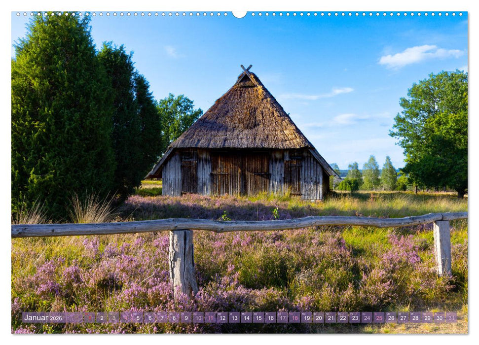 Im Blütenrausch der Lüneburger Heide (CALVENDO Wandkalender 2026)