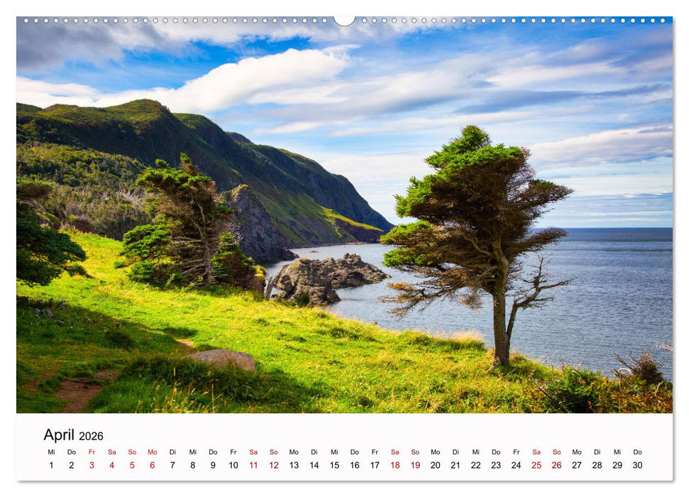 Neufundland - wilde Schönheit im Atlantik (CALVENDO Wandkalender 2026)
