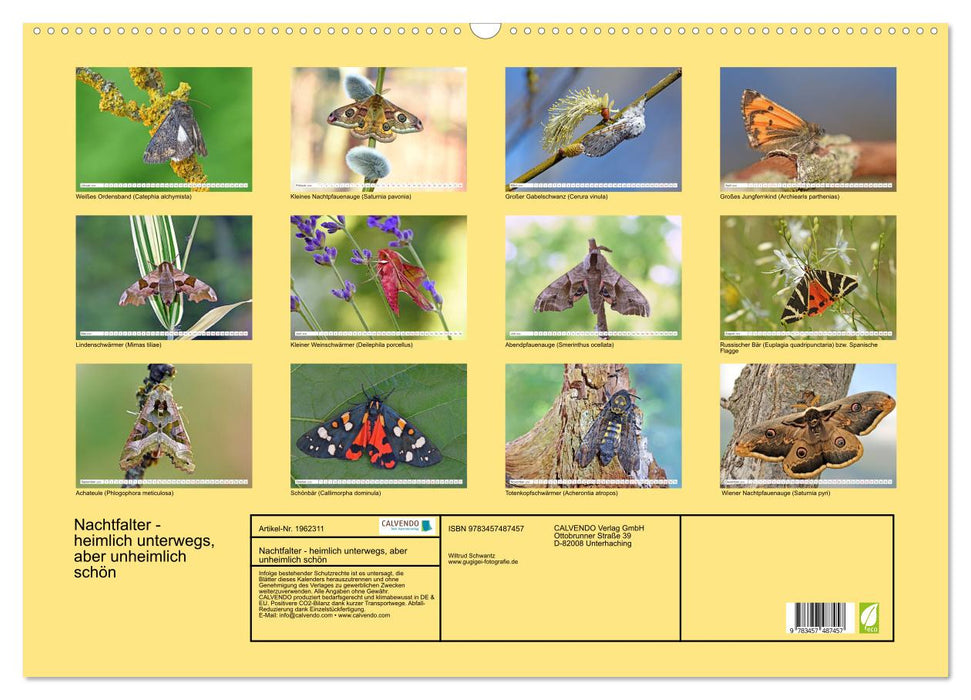 Nachtfalter - heimlich unterwegs, aber unheimlich schön (CALVENDO Wandkalender 2026)