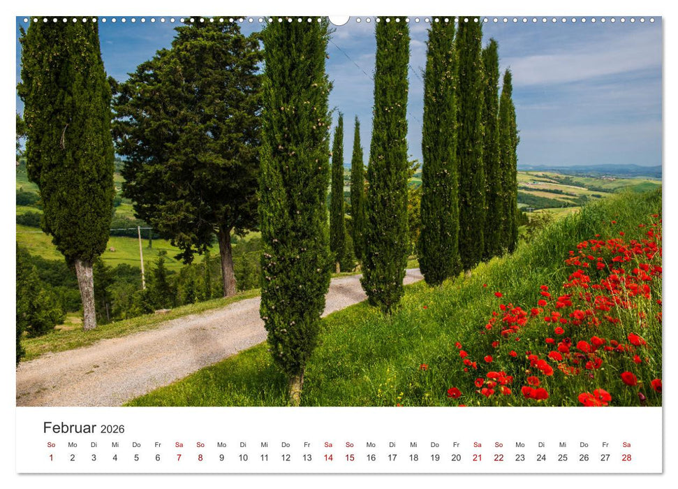 Grüne Farbtöne Toskana (CALVENDO Premium Wandkalender 2026)