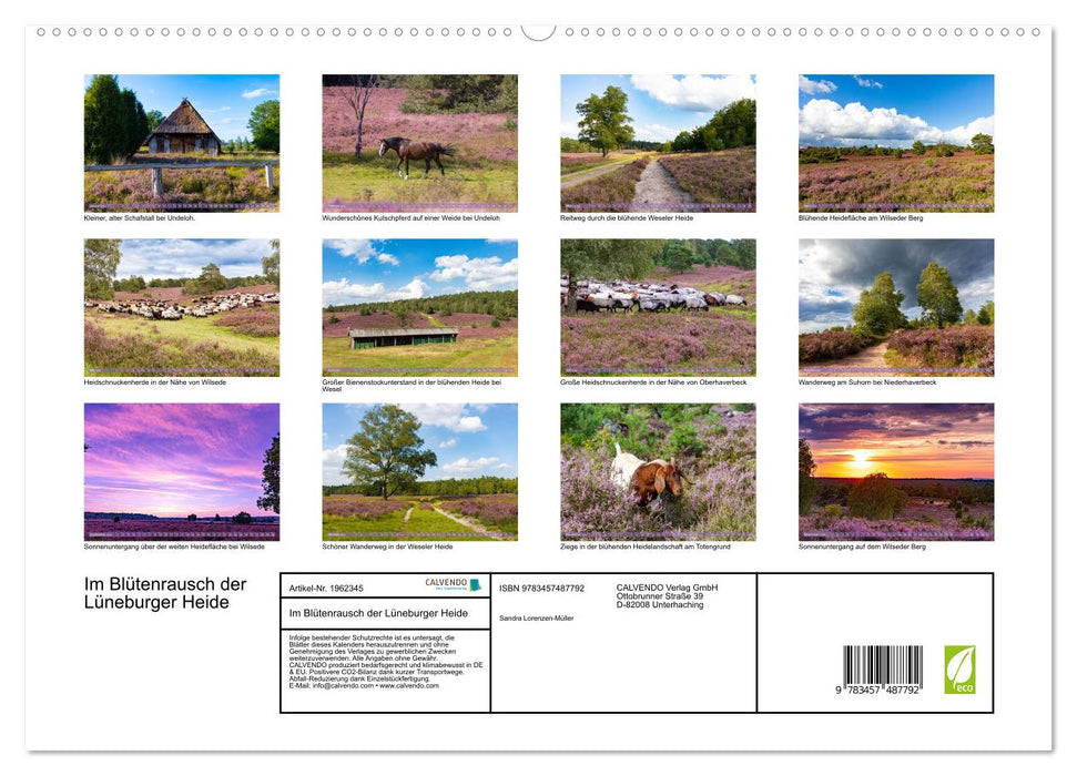 Im Blütenrausch der Lüneburger Heide (CALVENDO Premium Wandkalender 2026)