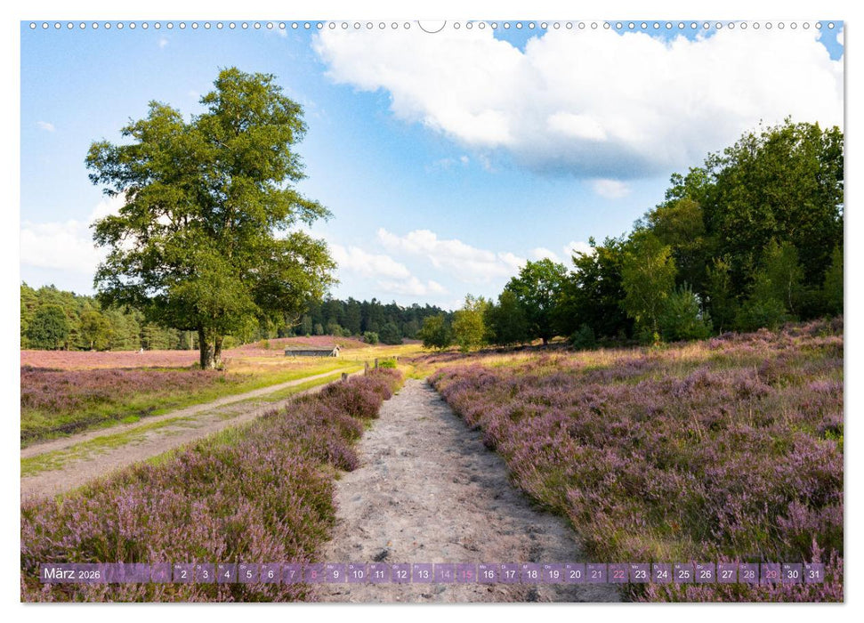 Im Blütenrausch der Lüneburger Heide (CALVENDO Premium Wandkalender 2026)