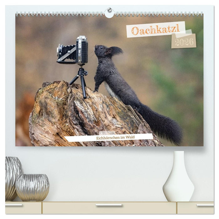 Oachkatzl (CALVENDO Premium Wandkalender 2026)
