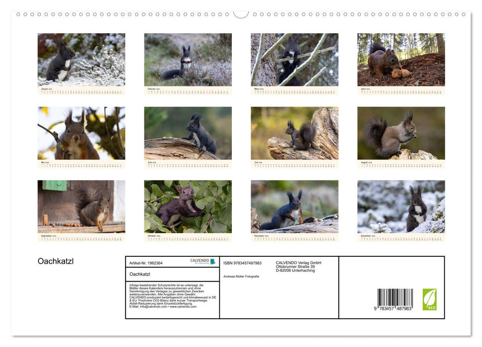 Oachkatzl (CALVENDO Premium Wandkalender 2026)