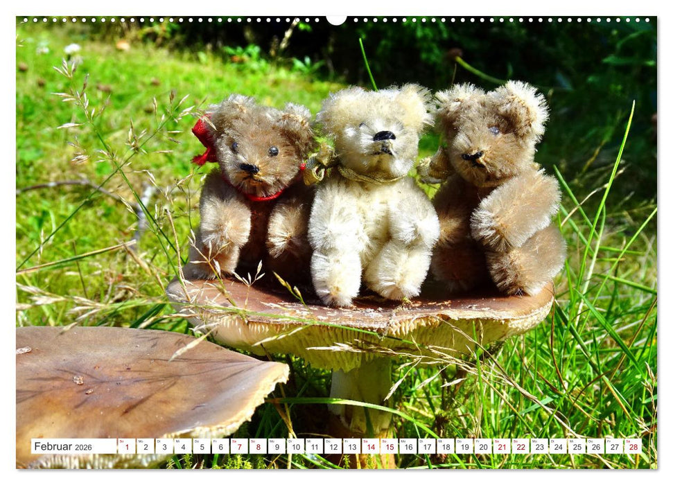 Pilz-Tiere (CALVENDO Premium Wandkalender 2026)