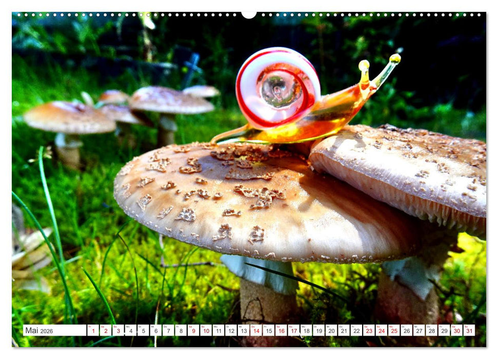 Pilz-Tiere (CALVENDO Premium Wandkalender 2026)