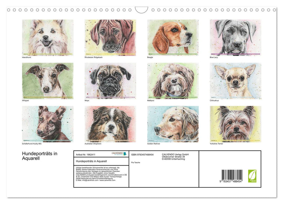 Hundeporträts in Aquarell (CALVENDO Wandkalender 2026)