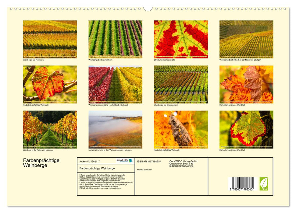 Farbenprächtige Weinberge (CALVENDO Premium Wandkalender 2026)