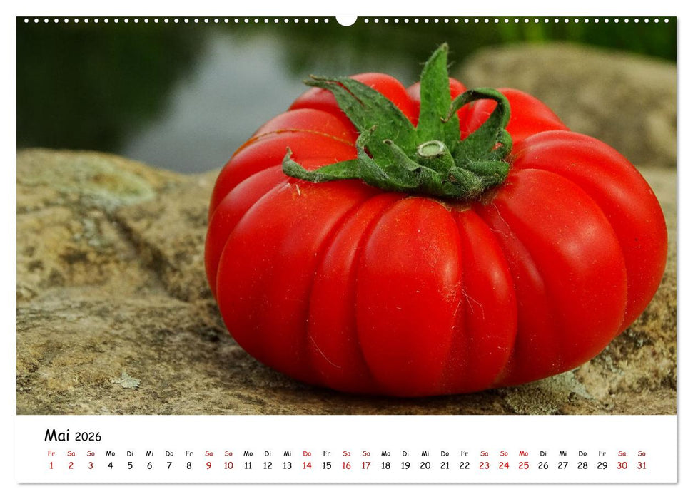 Tomaten Satt (CALVENDO Wandkalender 2026)