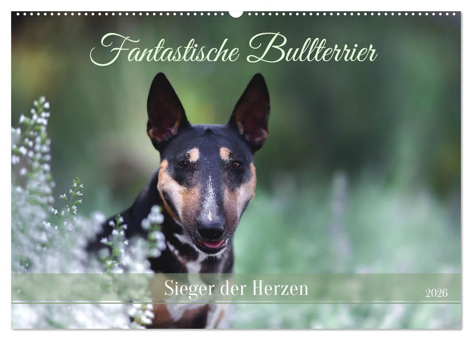 Fantastische Bullterrier - Sieger im Herzen (CALVENDO Wandkalender 2026)
