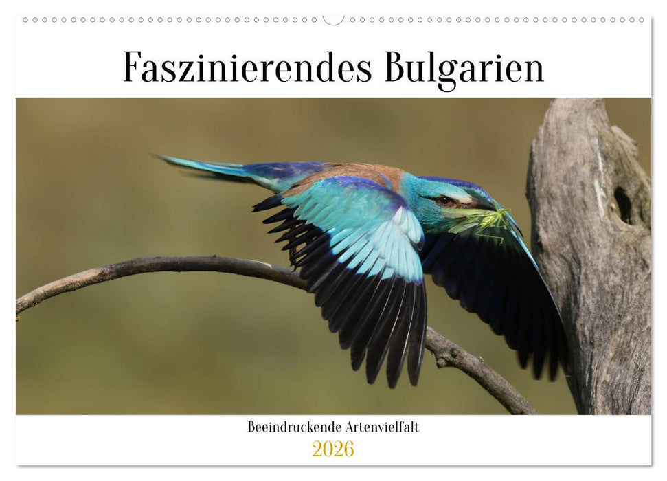 Faszinierendes Bulgarien (CALVENDO Wandkalender 2026)