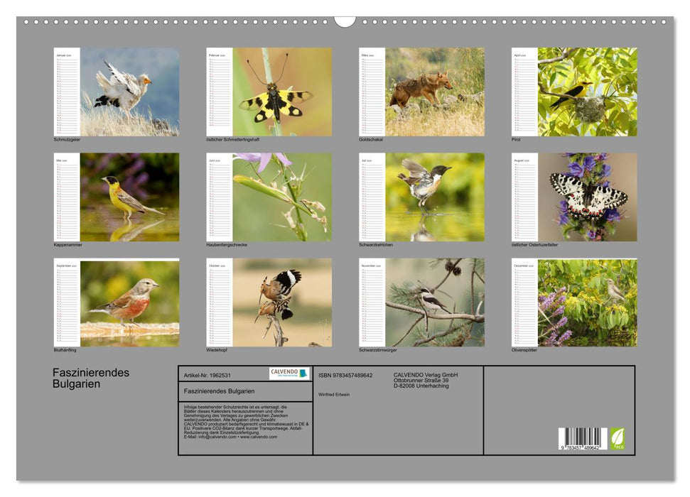 Faszinierendes Bulgarien (CALVENDO Wandkalender 2026)