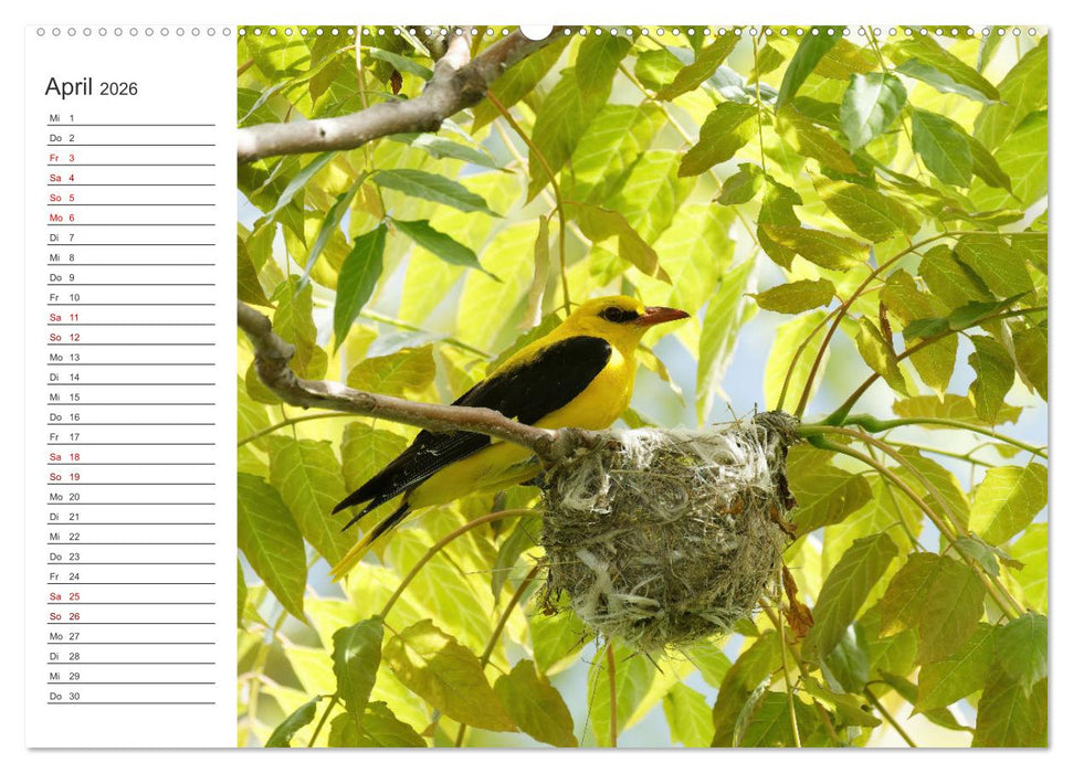 Faszinierendes Bulgarien (CALVENDO Wandkalender 2026)