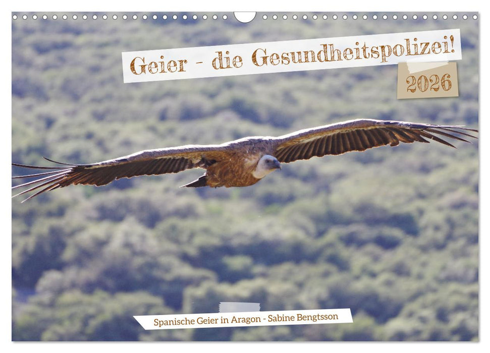Geier - die Gesundheitspolizei! (CALVENDO Wandkalender 2026)