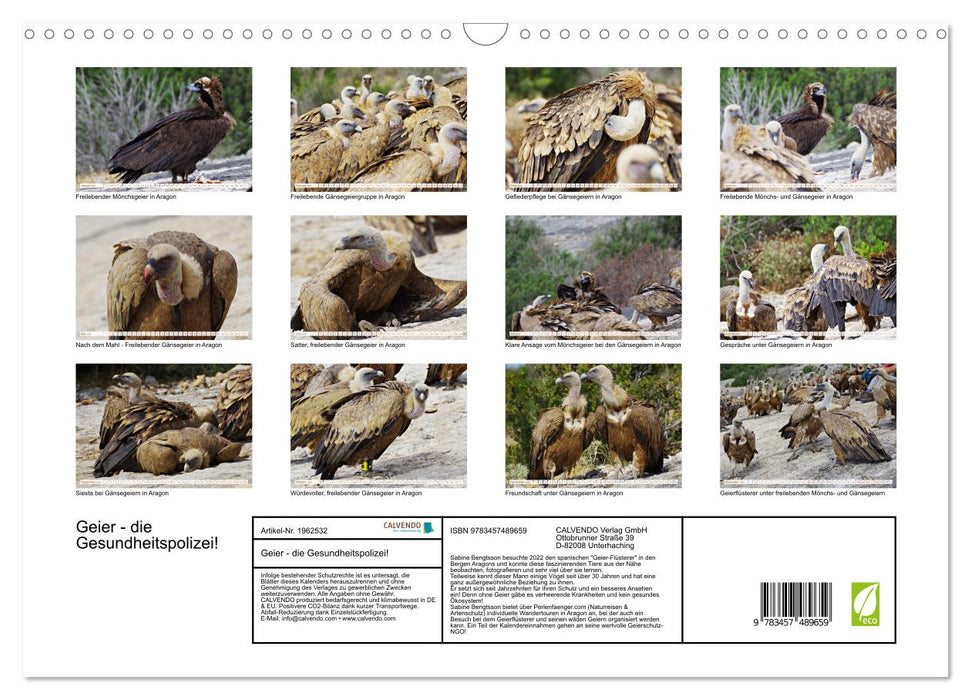 Geier - die Gesundheitspolizei! (CALVENDO Wandkalender 2026)