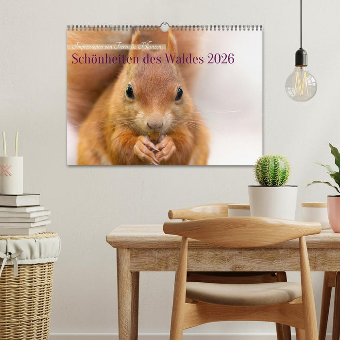Schönheiten des Waldes (CALVENDO Wandkalender 2026)