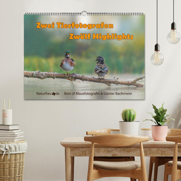 Zwei Tierfotografen Zwölf Highlights (CALVENDO Wandkalender 2026)