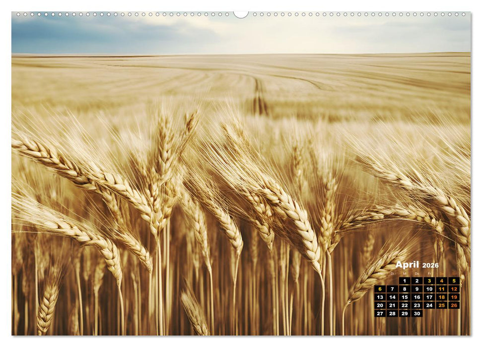 Von oben betrachtet Landschaften aus der Vogelperspektive (CALVENDO Premium Wandkalender 2026)