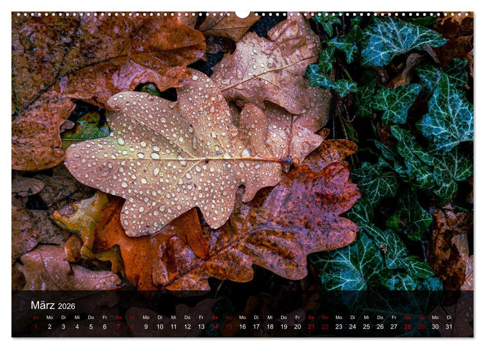 Wundervolle Naturlandschaften (CALVENDO Premium Wandkalender 2026)