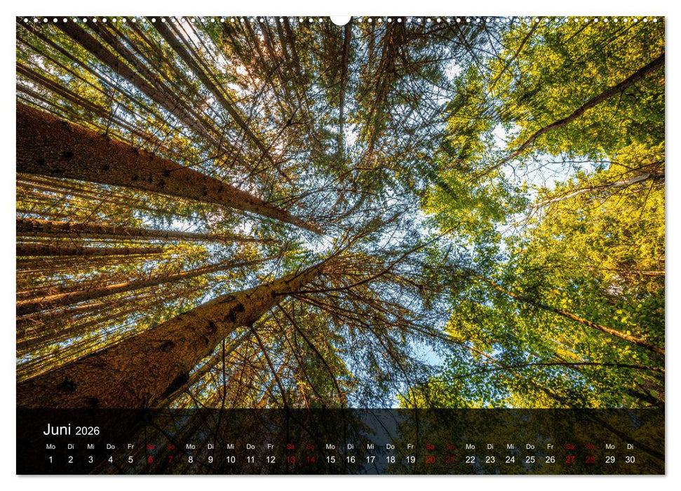 Wundervolle Naturlandschaften (CALVENDO Premium Wandkalender 2026)