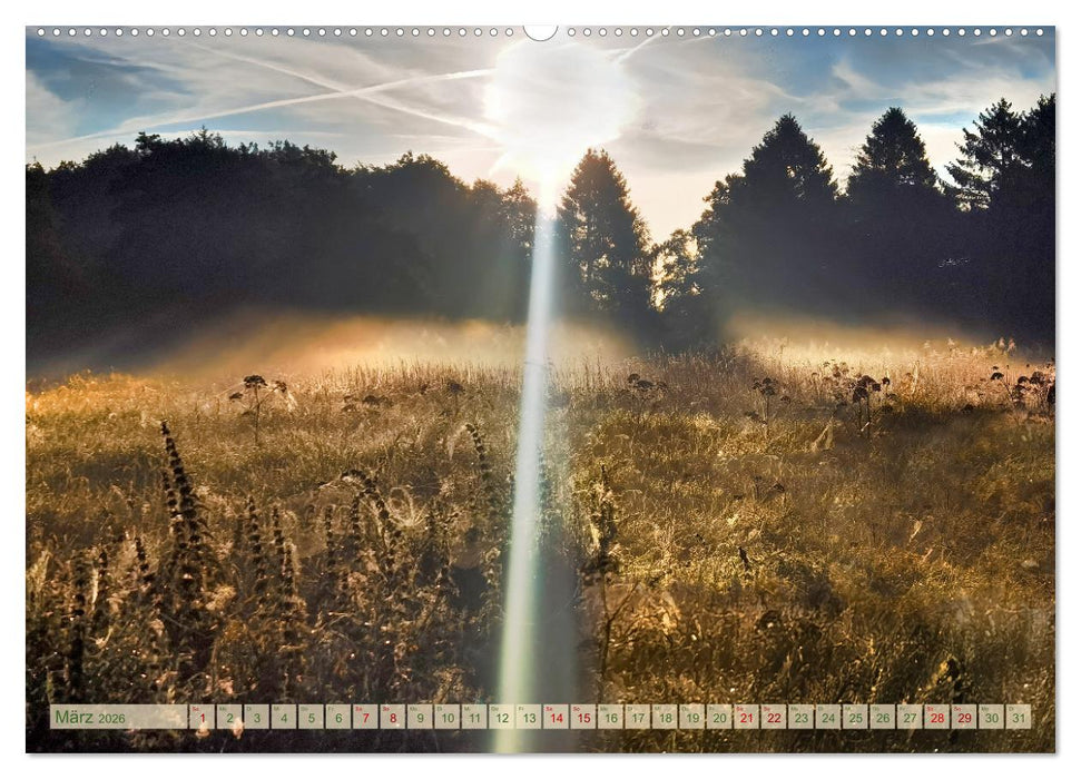 Morgenglühen & Nebelschimmer (CALVENDO Premium Wandkalender 2026)