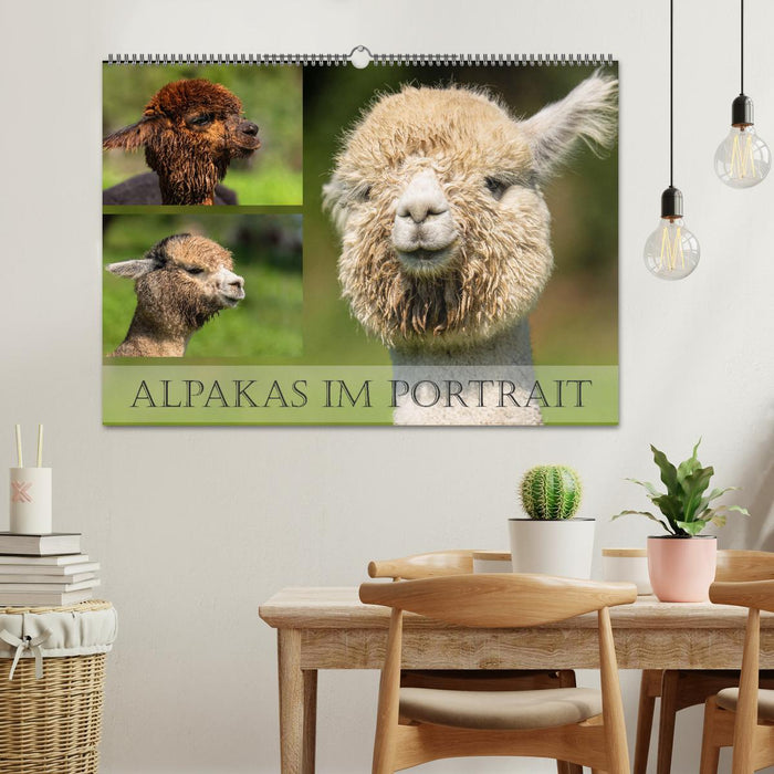 Alpakas im Portrait (CALVENDO Wandkalender 2026)