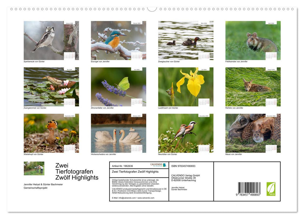 Zwei Tierfotografen Zwölf Highlights (CALVENDO Premium Wandkalender 2026)