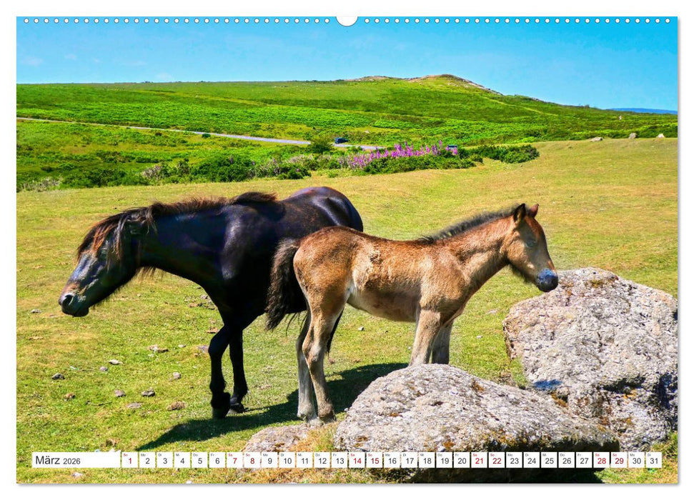 Südengland - On the road in Devon und Cornwall (CALVENDO Wandkalender 2026)