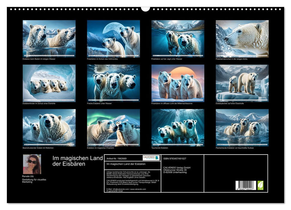 Im magischen Land der Eisbären (CALVENDO Wandkalender 2026)