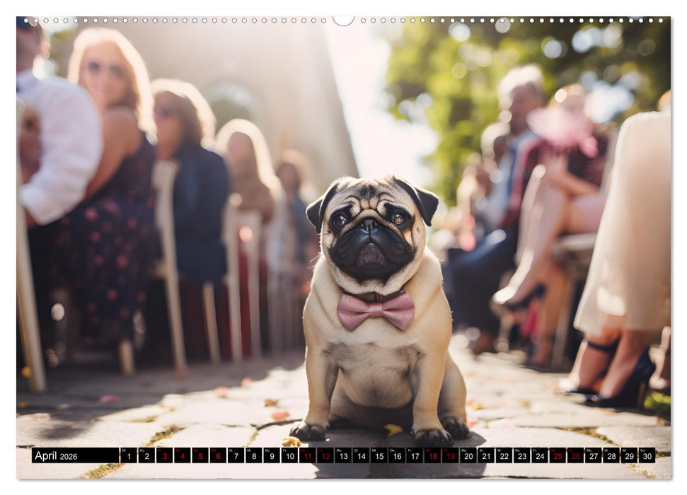 Kleine Helden - eine Hommage an die Mopsrasse (CALVENDO Premium Wandkalender 2026)