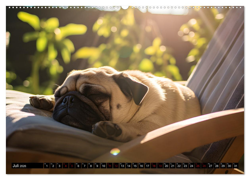 Kleine Helden - eine Hommage an die Mopsrasse (CALVENDO Premium Wandkalender 2026)