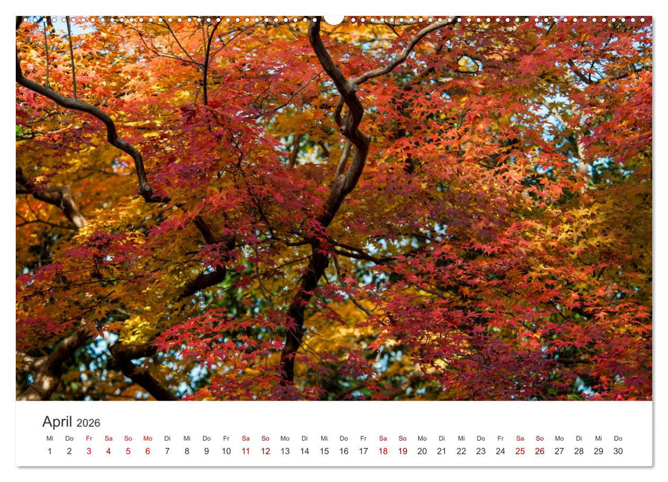 Japanischer Herbst und Laub (CALVENDO Wandkalender 2026)