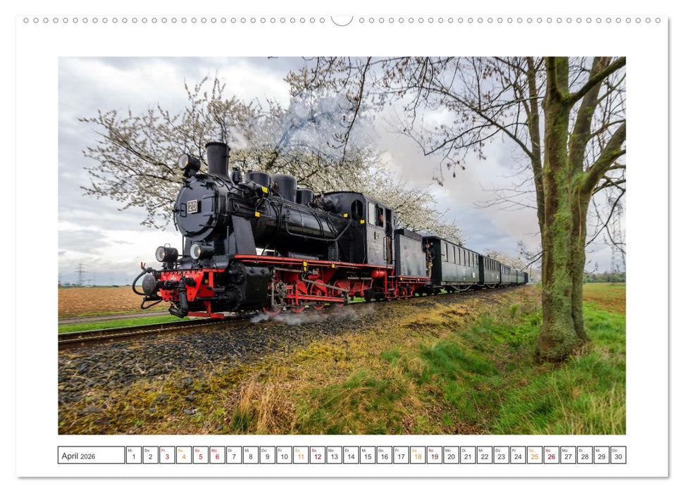 Museumsbahnen auf Tour (CALVENDO Premium Wandkalender 2026)