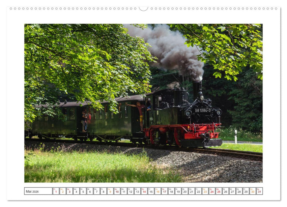 Museumsbahnen auf Tour (CALVENDO Premium Wandkalender 2026)