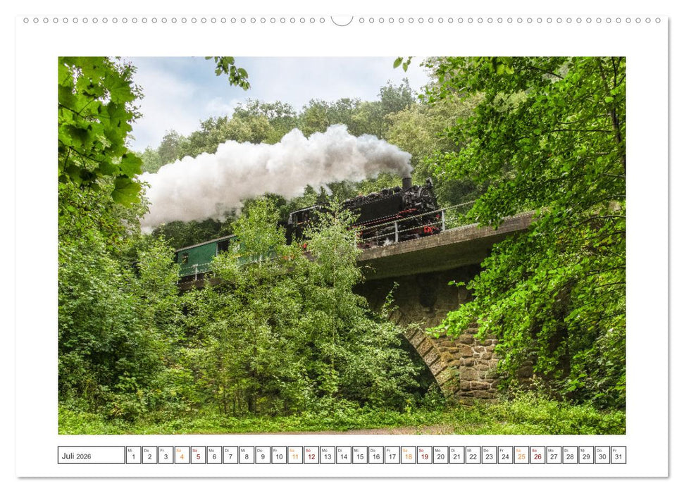 Museumsbahnen auf Tour (CALVENDO Premium Wandkalender 2026)