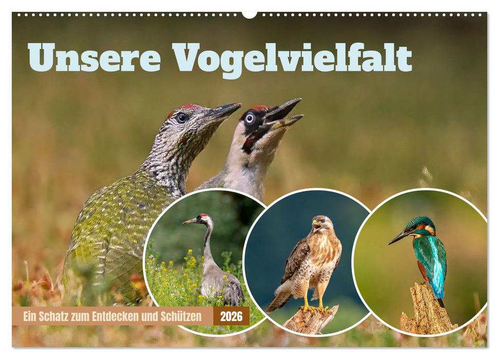 Unsere Vogelvielfalt: Ein Schatz zum Entdecken und Schützen (CALVENDO Wandkalender 2026)
