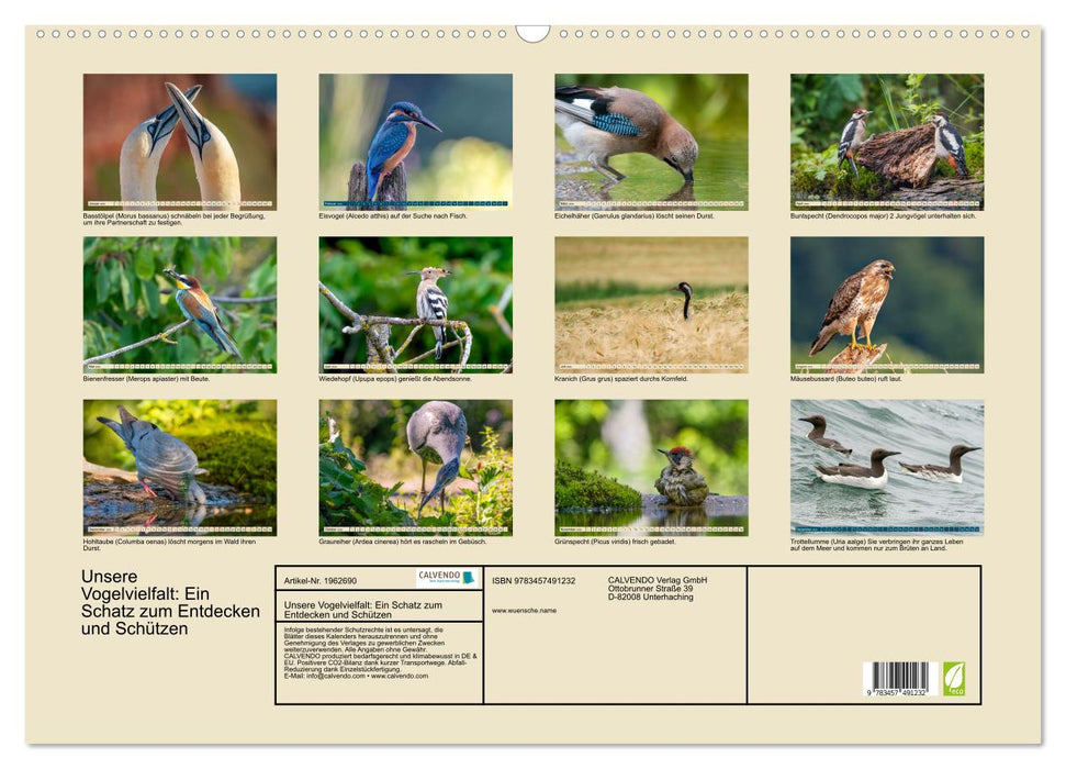 Unsere Vogelvielfalt: Ein Schatz zum Entdecken und Schützen (CALVENDO Wandkalender 2026)