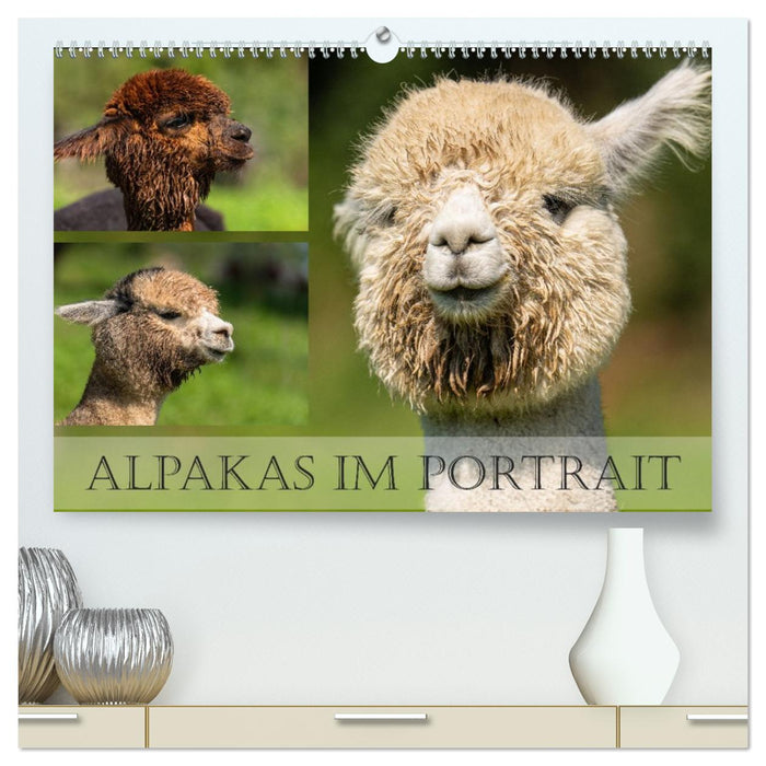 Alpakas im Portrait (CALVENDO Premium Wandkalender 2026)