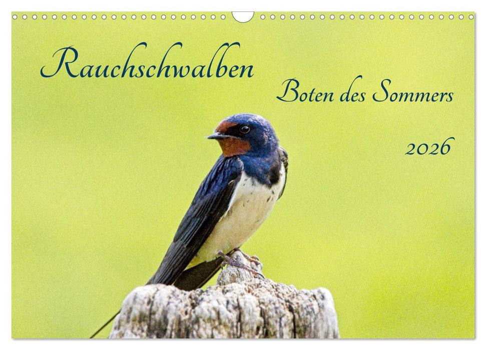 Rauchschwalben - Boten des Sommers (CALVENDO Wandkalender 2026)