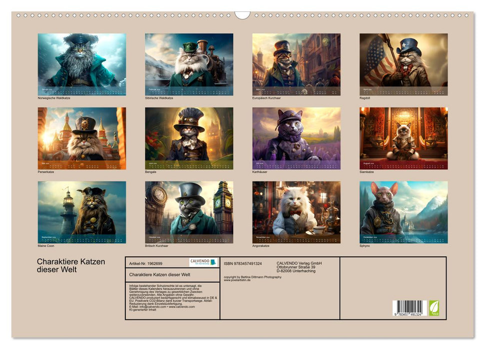 Charaktiere Katzen dieser Welt (CALVENDO Wandkalender 2026)