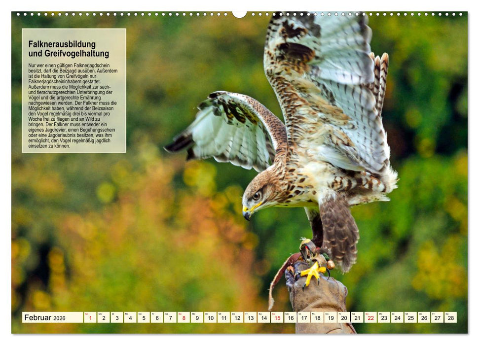 Kulturerbe Falknerei (CALVENDO Wandkalender 2026)