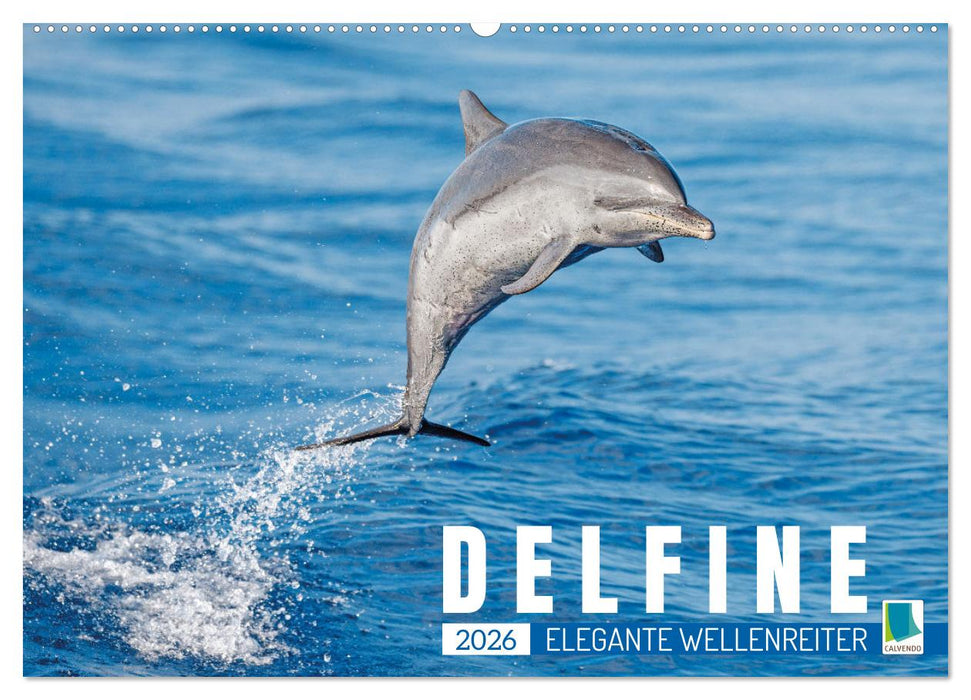 Delfine: Elegante Wellenreiter (CALVENDO Wandkalender 2026)
