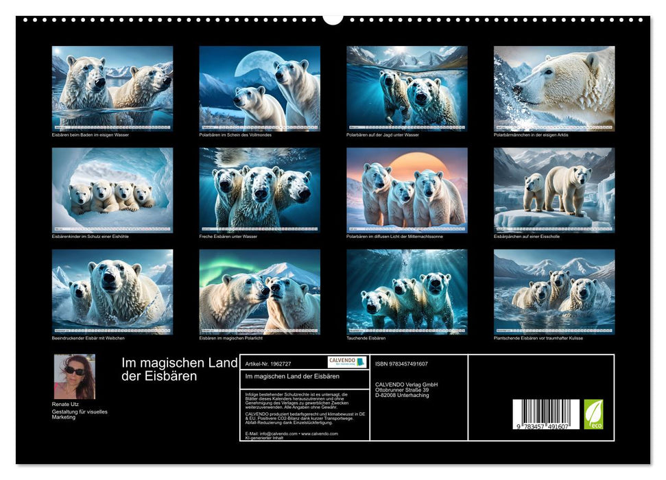 Im magischen Land der Eisbären (CALVENDO Premium Wandkalender 2026)